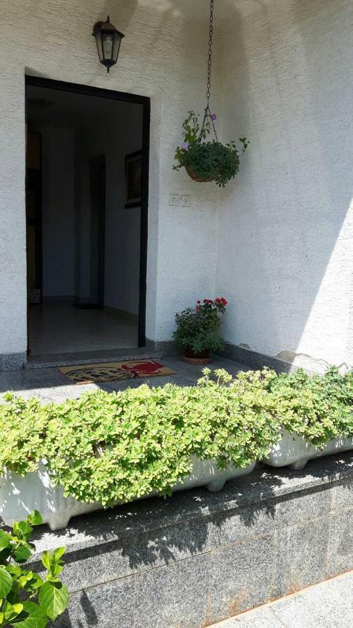 App Bajic Daire Umag Dış mekan fotoğraf